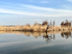 -贡湖湾湿地公园