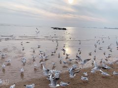 -老虎石海上公园