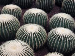 -南通洲际绿博园