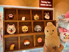 -帕帕拉兹宠物(亚洲旗舰店)