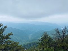 -牛背梁国家森林公园