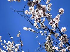 -龙湖星悦荟(颐和店)