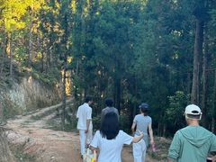 -南岳衡山风景名胜区