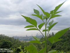 -火炉山森林公园