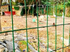 -呼吸森林·生态农庄农家乐私房菜