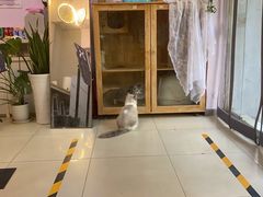-宠颐生中康贝怡动物医院