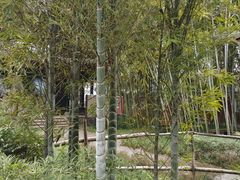 -望江楼公园