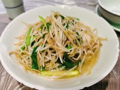 韭菜豆芽-壹盏灯(惠农店)