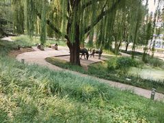-元大都城垣遗址公园