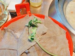 -辣伍鲜毛肚老火锅(元一店)