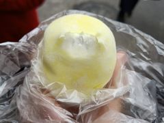 -猫咪博物馆(顶澳仔猫街店)