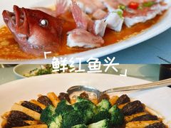 -南海渔村(珠江新城店)