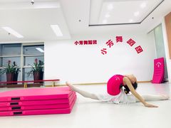 -小芳舞蹈团·少儿舞蹈·中国舞(龙江校区)