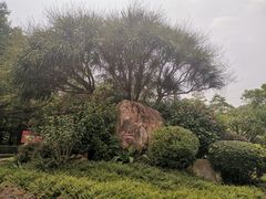 -滴水岩森林公园