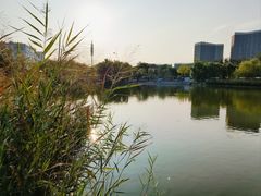 -西海子公园