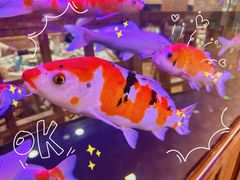 -庐州太太(双岗店)