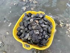 -深圳海钓·深圳钓鱼·拓展聚会鱼排