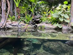 -江和美海洋公园