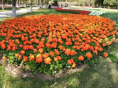 -上海鲜花港