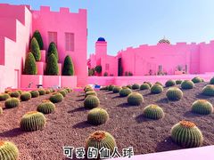 -漳州滨海火山岛自然生态风景区