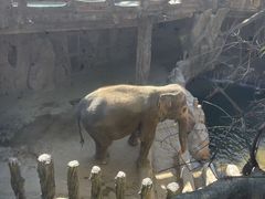 -长鹿旅游休博园