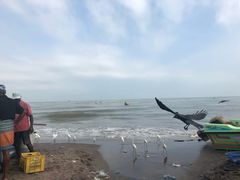 -尼甘布海鲜市场