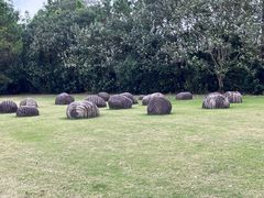 -上海月湖雕塑公园