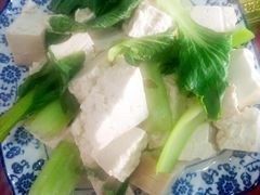 -照金特色农家乐