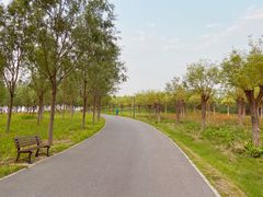 -东郊湿地公园