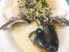 姜茸蒸泉水鲩-勝記酒家·37年老字号·经典粤菜(荔枝公园店)