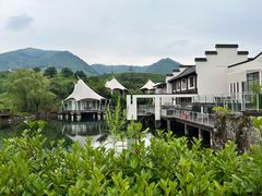 -帐篷客·溪龙茶谷度假酒店