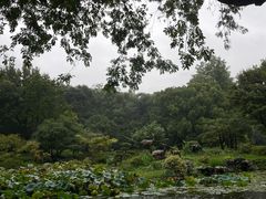 -杭州植物园