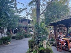 -青城甲(青城山店)