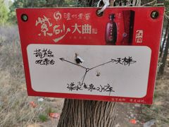 -龙洞风景区-藏龙涧