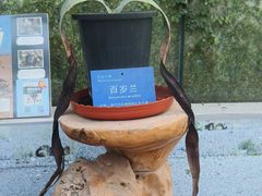 -国家植物园南园