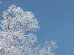 -太子岭滑雪场