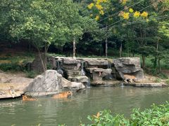 -宁波野生动物园