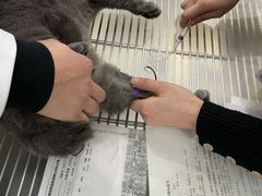 -北京恒爱动物医院(清景园分院)