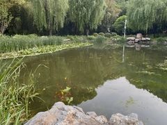 -河南省黄河迎宾馆