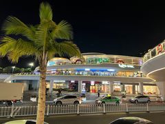 -野狸岛