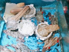-中苑海韵