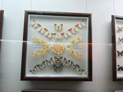 -陕西自然博物馆