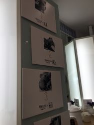 -THE LOG SALON 记录