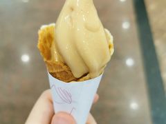 -国家五钻酒家·西樵旺阁渔村(西樵店)