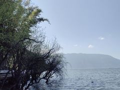 -南诏风情岛