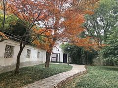 -西园戒幢律寺
