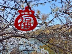 -广州市流溪河国家森林公园