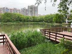 -新江湾城公园