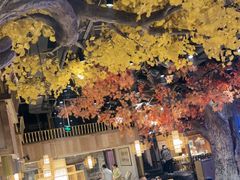 -老凯俚酸汤鱼(多彩城店)