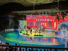 -三亚海昌梦幻海洋不夜城